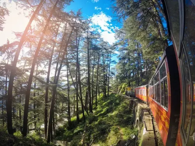 Shimla
