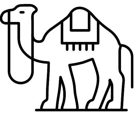 Maharaja Grandeur: Private Tourism Services